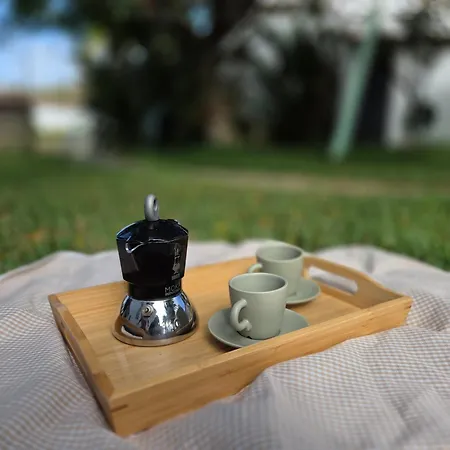 La Barbacoa Familiar De Gardel * Icod De Los Vinos