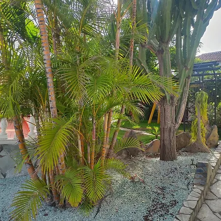 La Barbacoa Familiar De Gardel Apartment