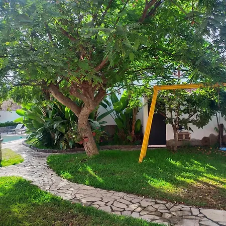 La Barbacoa Familiar De Gardel