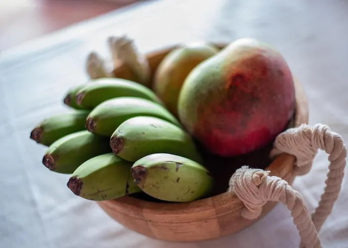 Apartmán La Barbacoa Familiar De Gardel